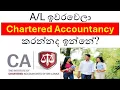 Why Choose Chartered Accountancy After Benefits Career Paths and Salary Insights
