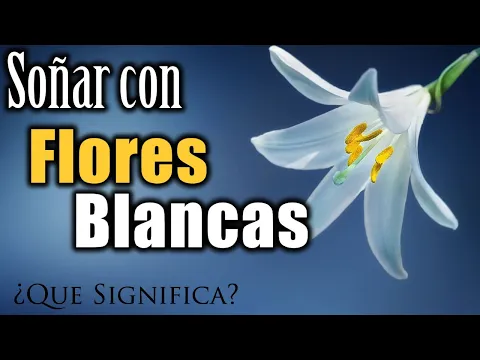 Download MP3 SOÑAR con FLORES BLANCAS ✨ ¿Qué Significa? ¿Qué quiere decir este sueño?