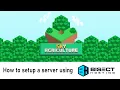 How to setup a SkyAgriculture MineCraft server using BisectHosting