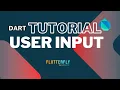 Master Dart Programming I User Input in Dart Project