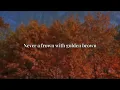The Stranglers - Golden Brown (Lyrics)