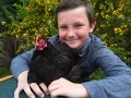 Pekin bantams with tfortoooooom