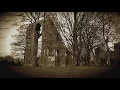 Desiderii Marginis - Come Ruin And Rapture
