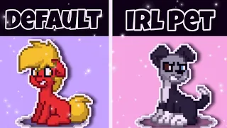 10 Types Of Pony Town Players Pony Town