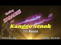 Lagu KANGGO SENOK~TRI BUANA~ KARAOKE TARLING NADA COWOK