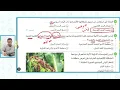 حل كتاب الامتحان مشكلات اقتصادية ذات بُعد سياسى | الجغرافيا السياسية | تالتة ثانوي 2026