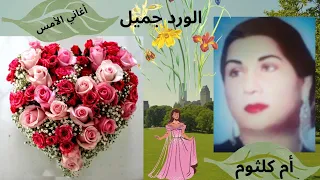 الورد جميل لغة الزهور أم كلثوم 