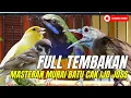 Download Lagu MASTERAN MEWAH POLL - ROLL TEMBAK BESETAN LENGKINGAN - CUNGKOK TENGKEK BAJING JENGGOT GREJA TARUNG