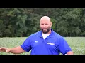 Scout for brown marmorated stink bugs in soybeans