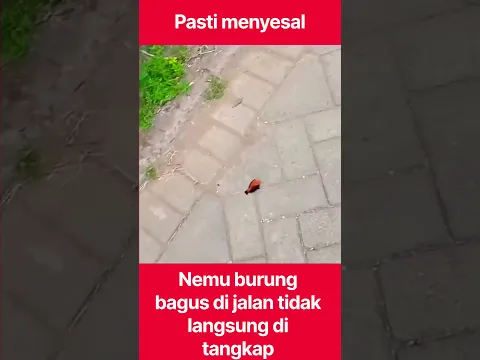 pasti menyesal