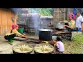 Download Lagu Mother and daughter cooked delicious bamboo shoot soup after picking a lot of bamboo shoots.