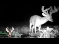 Hadley Creek Trail Cam