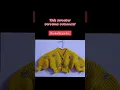 Download Lagu handknitted cardigan. #youtubeshorts #knittig #lovewhatyoudo #fyp #vocalforlocal