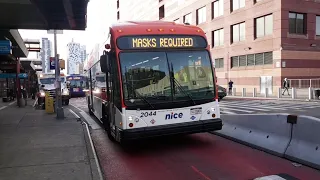 MTA NYC Bus Big Time Fanning In Jamaica 20th Birt ay Special
