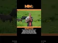 Download Lagu Chauri Gothaima- Maita \u0026 Gharhttps://youtu.be/rgwEeuJFWsA?si=vWf9dQQqi7Oqqpkv#mimp #mimpnepal