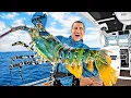 Download Lagu 4 Days Boat Camping - Exploring For Sea Creatures