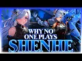 Why NO ONE Plays Shenhe Genshin Impact