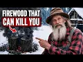 The Firewood Myth That Left More Mountain Families Cold Than Any Blizzard Did