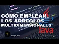 37 Explorando los Arreglos Multidimensionales Domina la Programacion Java