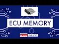 ECU MEMORY PFlash DFlash EEPROM RAM ROM FRAM SRAM HSM CACHE