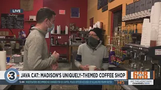 Java Cat Madison s uniquely themed coffee shop