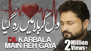 dil karbala main reh gaya new noha 2018 1440 syed raza abbas zaidi karbala