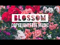LAKEY INSPIRED - Blossom | Melody Sounds [Copyright Free Music] |
