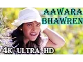 Lagu A R Rahman Hit Song - Aawara Bhawren Jo Hole Hole Gaaye, Kajol, Sapnay Song - 4K Ultra HD Video