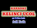 Lagu Kelinci Ucol KARAOKE