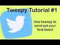 Twitter API Setting up a Developer Account