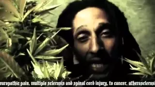 julian marley boom draw
