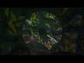 Amal Nemer - La Vida (Radio Edit) Manifest Records