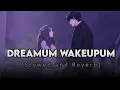 Download Lagu Dreamum Wakeupum [Slowed and Reverb] By Sowmya Raoh