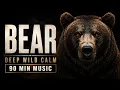 Majestic Wild Brown Bear Portrait in 4K 90 Min Relax Music