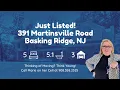 Just Listed 391 Martinsville Road Basking Ridge NJ Drone Tour