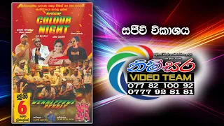reggae colour night