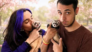 24 HORAS CONSINTIENDO A NUESTRAS MASCOTAS con LYNA