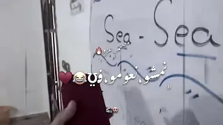 أغنية عربية نمشو نعومو في Sea ونشرب Tea ترند الصيف تيك توك 2025 