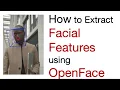 Extracting Facial Features Head pose eye-gaze etc from a using OpenFace first time