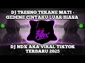 Download Lagu DJ GEDENE CINTAKU LUAR BIASA - TRESNO TEKANE MATI NDX AKA VIRAL TIKTOK SLOW TERBARU 2025