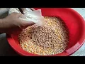 Pigeon food Mix Pigeon food List Pigeon Feed