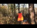 Rabbit hunting season Georgia