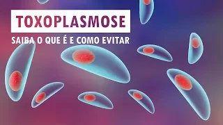 Toxoplasmose - saiba o que é e como evitar | Sua Saúde na Rede