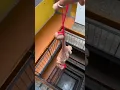 Satisfying Gorilla Drop