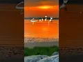 Download Lagu #education #shorts #trending #viral #best #love #follow #poetry #beautiful #bawafa