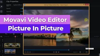 picture in picture movavi video editor plus 2020 32