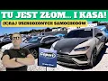Scrap drowned cars flip-flops DEALS We check cars at Copart Miami - damage prices