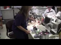 Work Shift Medical laboratory technician