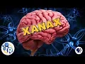 Download Lagu How Does Xanax Work?