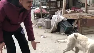 مش لاقي حد غيرك دندنها
